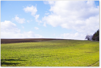 太陽光発電量の違いと要因
